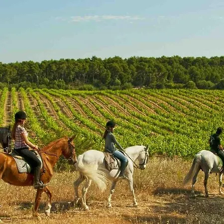 Hotell Ilusion Vista Blava