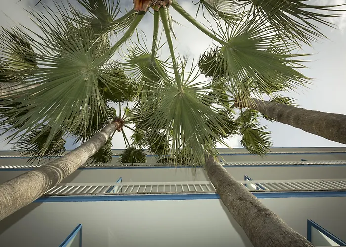 Ilusion Vista Blava Кала Миллор