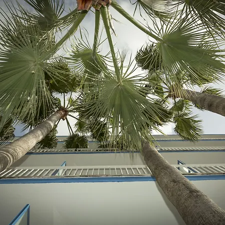 Ilusion Vista Blava Cala Millor (Mallorca)