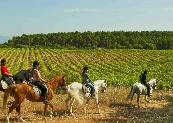 호텔 Ilusion Vista Blava