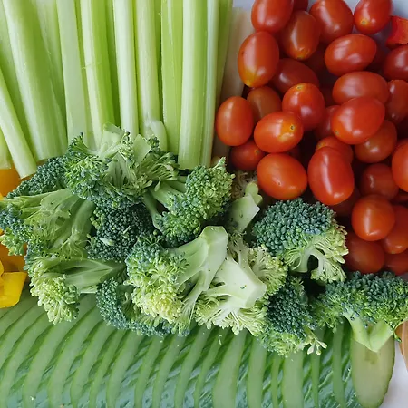 酒店 Ilusion Vista Blava